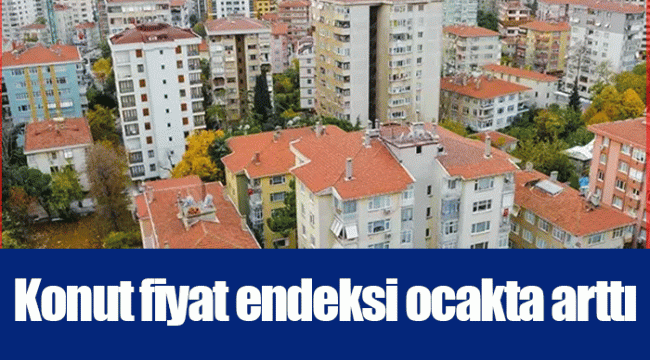 Konut fiyat endeksi ocakta arttı