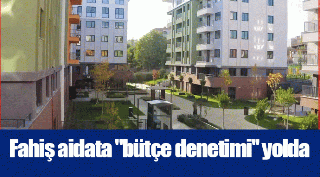 Fahiş aidata "bütçe denetimi" yolda