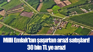 Milli Emlak’tan şaşırtan arazi satışları! 30 bin TL ye arazi