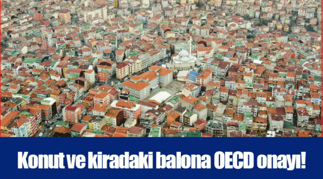 Konut ve kiradaki balona OECD onayı!