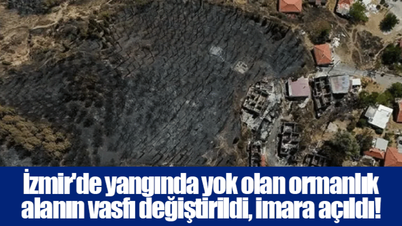 İzmir'de yangında yok olan ormanlık alanın vasfı değiştirildi, imara açıldı!