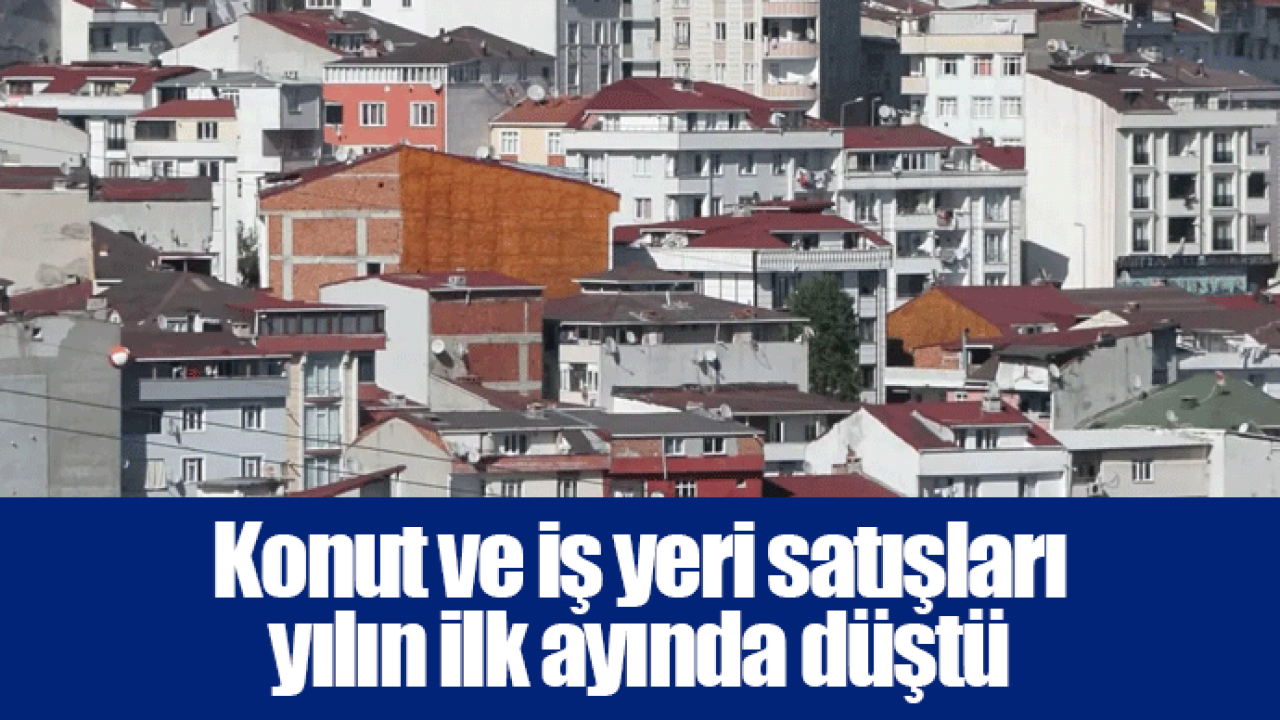 Konut ve iş yeri satışları yılın ilk ayında düştü