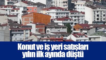 Konut ve iş yeri satışları yılın ilk ayında düştü