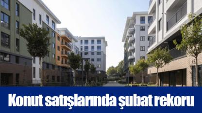 Konut satışlarında şubat rekoru